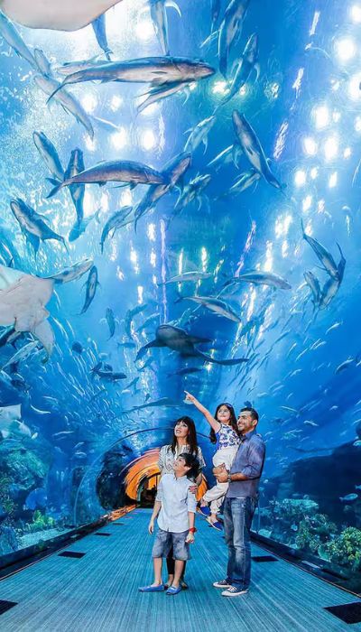 Dubai Aquarium